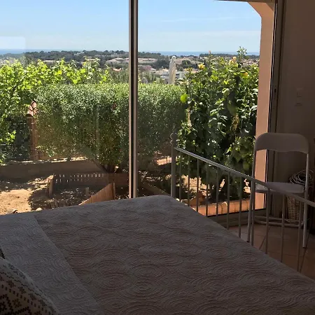 Les Tortues Hébergement de vacances